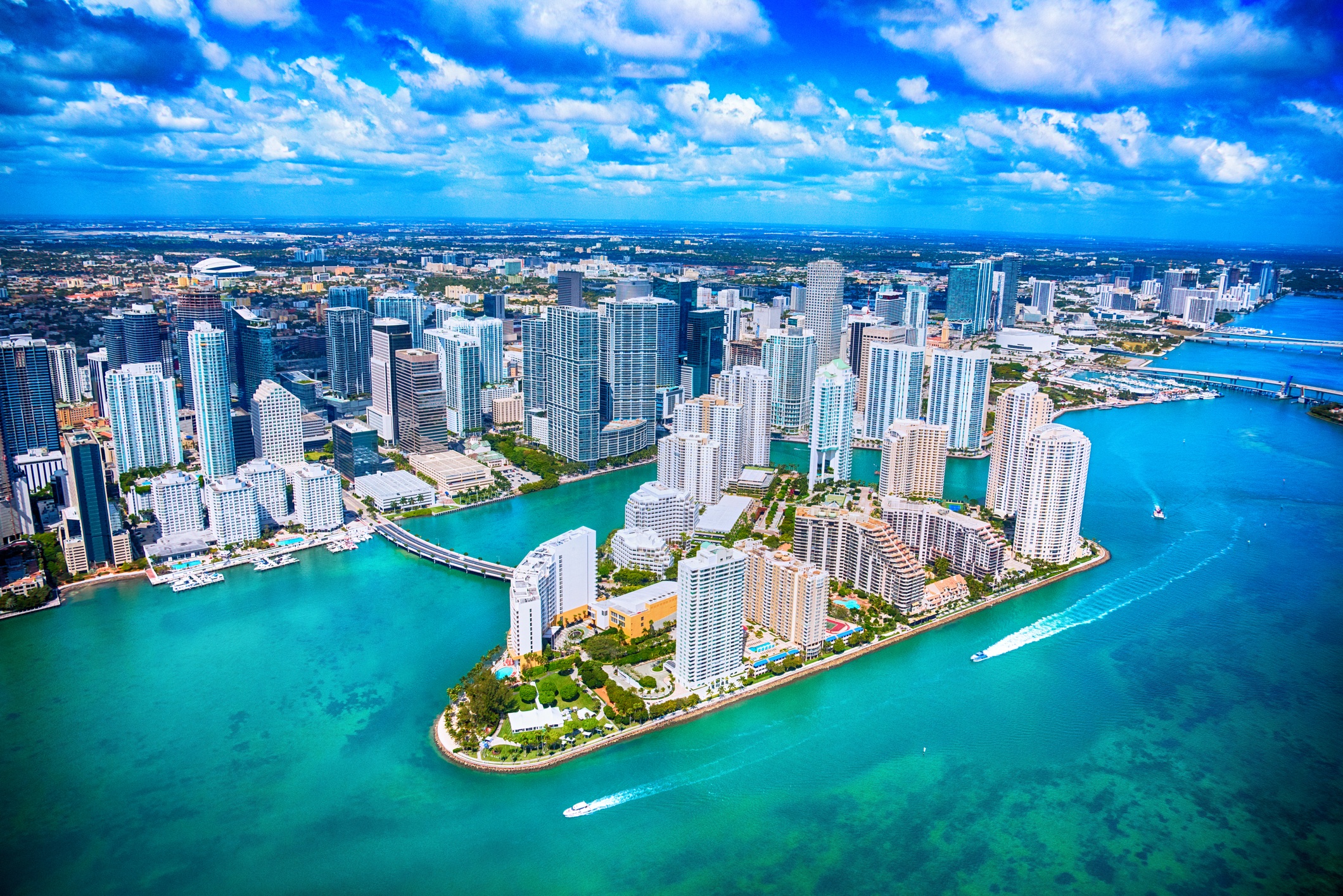Miami Skyline Miami Skyline
