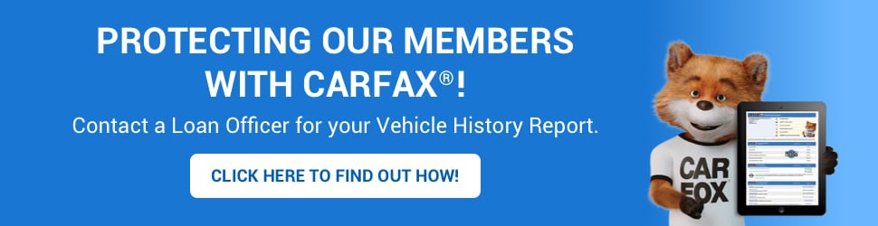 CarFax Banner - Protecting Members