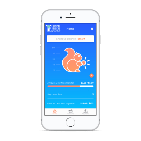 Dashboard - Home - TFCU_iphone8silver_portrait.png