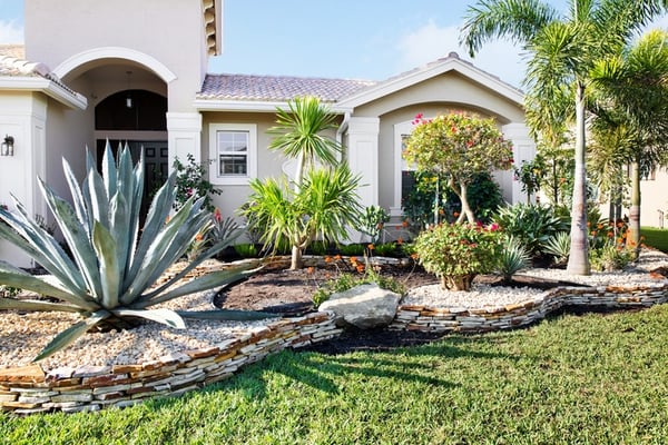 landscaping in front of Florida home