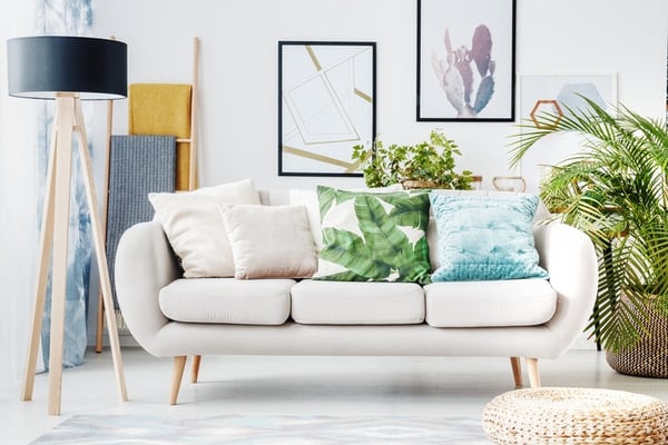 living room filled with indoor plants