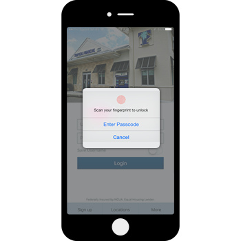 image - TFCU mobile banking image - TFCU mobile banking
