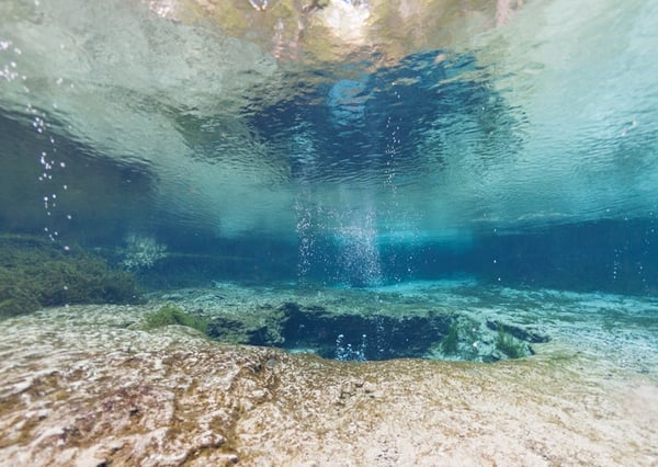 underwater photo of Ginne Spring in Florida