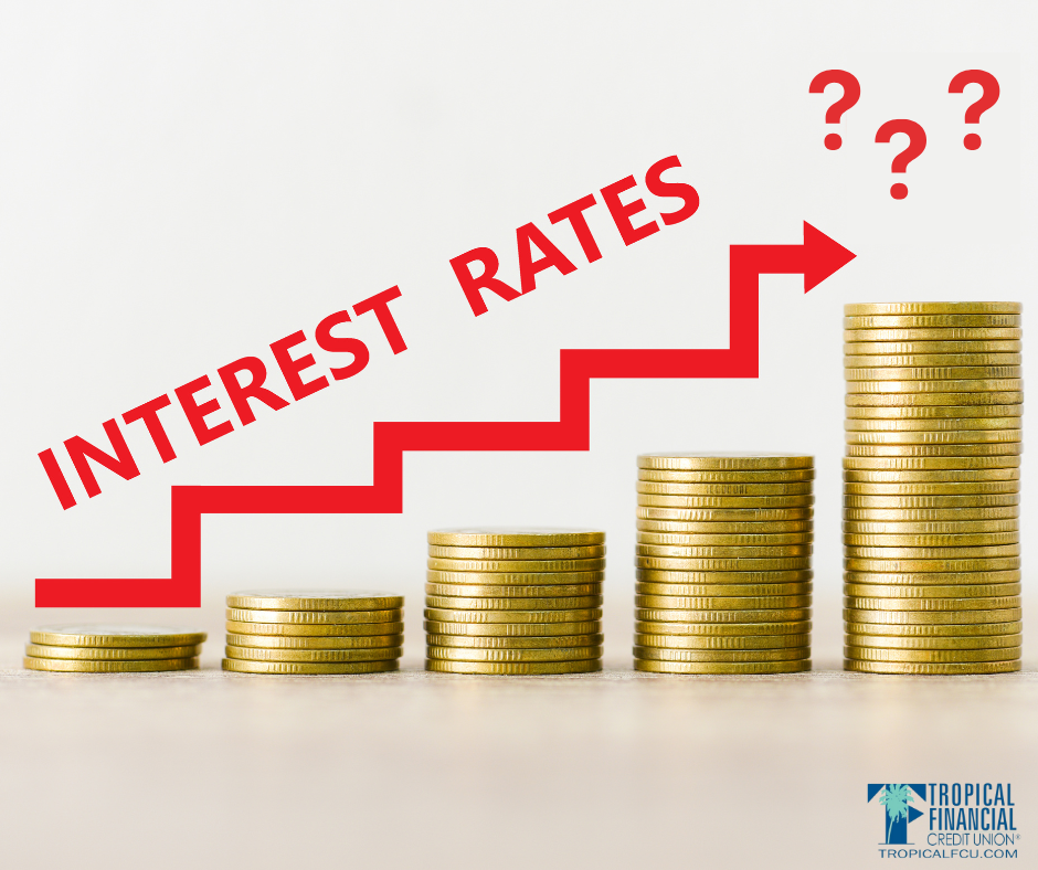 Interest rates are rising. What should you do now?