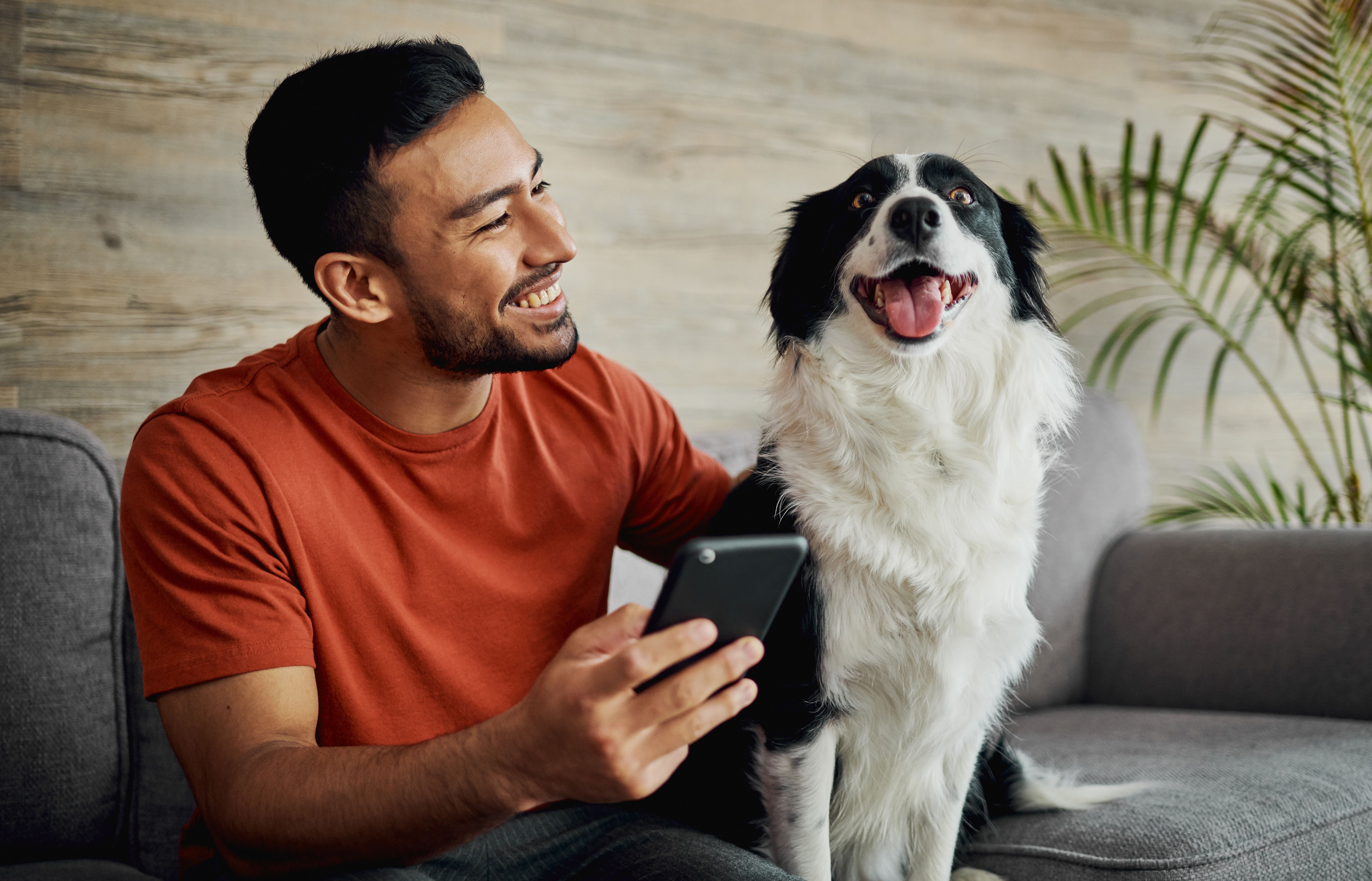 Personal banking man dog